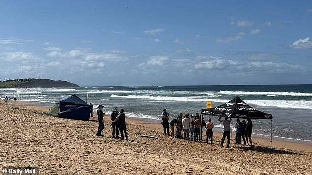 Veteran Surfer Killed in Harrowing Shark Attack at Dee Why Beach