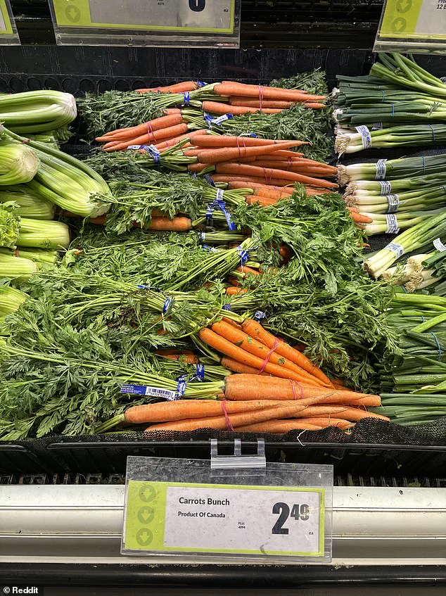 Canadian Supermarkets Exposed for Mislabeling U.S. Produce Amid Trump Tariff Scrutiny