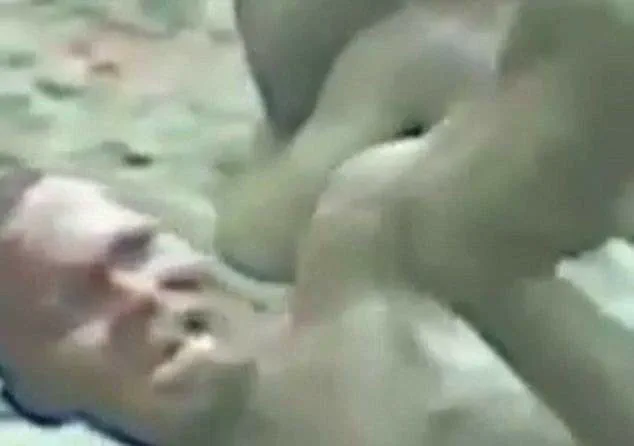 Mob Attack in Kasuwan-Garba, Nigeria: Food Vendor Allegedly Targeted Over Blasphemy Remarks