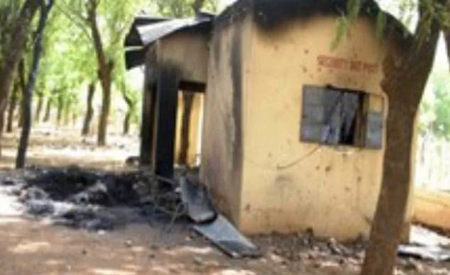 Mob Attack in Kasuwan-Garba, Nigeria: Food Vendor Allegedly Targeted Over Blasphemy Remarks