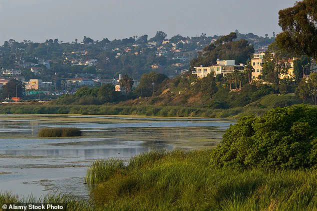 Exclusive Access Contested: California Retail Magnate Ordered to Pay $1.4M for Blocking Public Beach Access