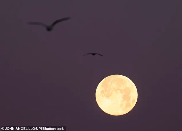 San Francisco in Crisis as Unprecedented Flooding from 'Super Moon Trifecta' Disrupts Lives and Infrastructure