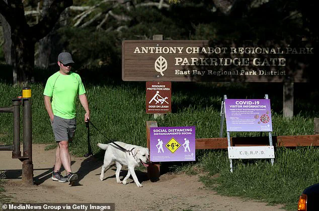 California Death Cap Mushroom Surge Claims Three Lives, Poisons Over Two Dozen as Health Officials Issue Urgent Warnings