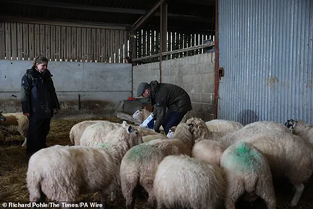 Prince William's Privileged Mission: Tackling Rural Mental Health with Expert Guidance