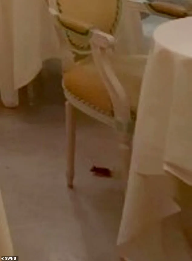 A 'Shock to the System': Ritz London Guests React to Unlikely Afternoon Tea Incident