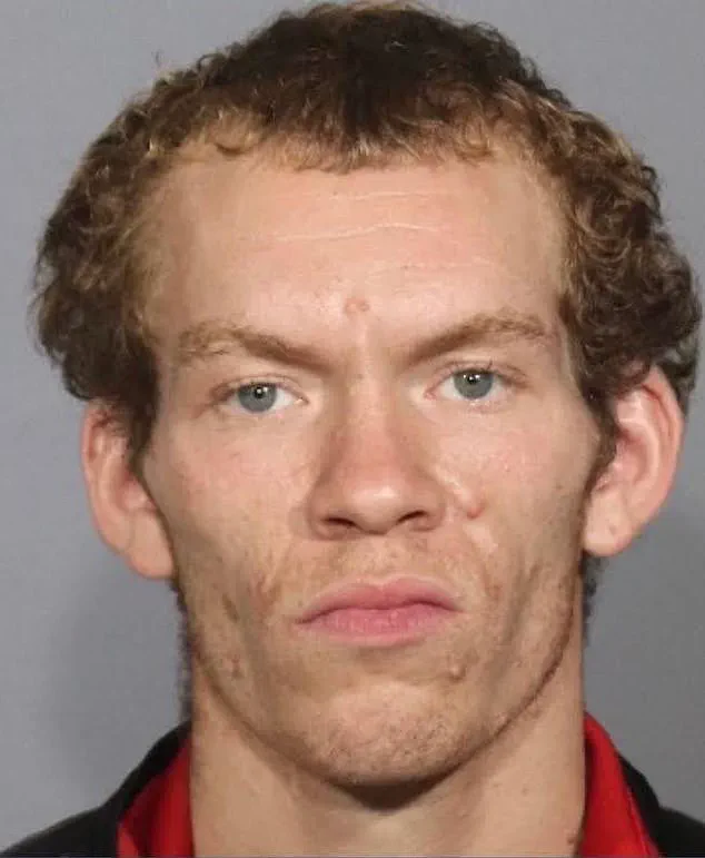 New York Man Pleads Guilty to Illegal Weapons Possession, Faces Four-Year Prison Sentence Despite Self-Defense Claim