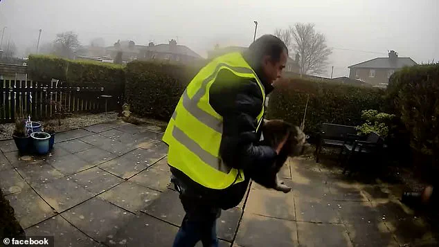Routine Amazon Delivery Turns Nightmarish for Elland Family as Cat is Stolen in Shocking Incident