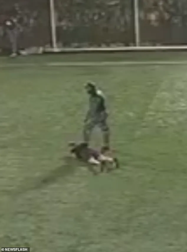 Violent Incident in Ecuador: Football Pitch Attack by Masked Individuals in Police Uniforms
