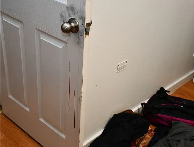 New Photographs Reveal Unprecedented Scale of Idaho Four Murders