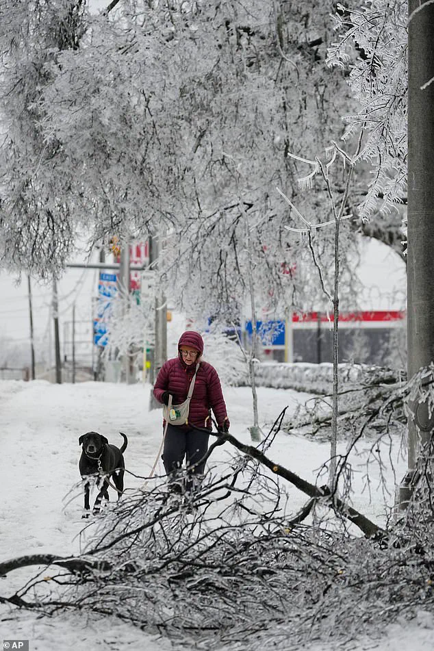 Winter Storm Fern's Devastating Impact: Economic Losses and Public Safety Concerns Amid Calls for Enhanced Government Preparedness