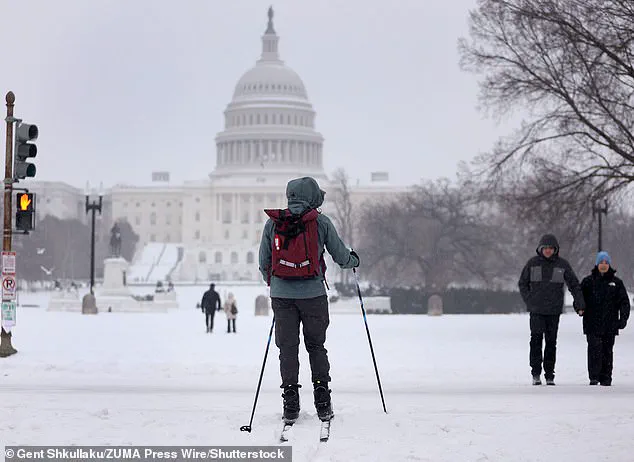 Winter Storm Fern's Devastating Impact: Economic Losses and Public Safety Concerns Amid Calls for Enhanced Government Preparedness