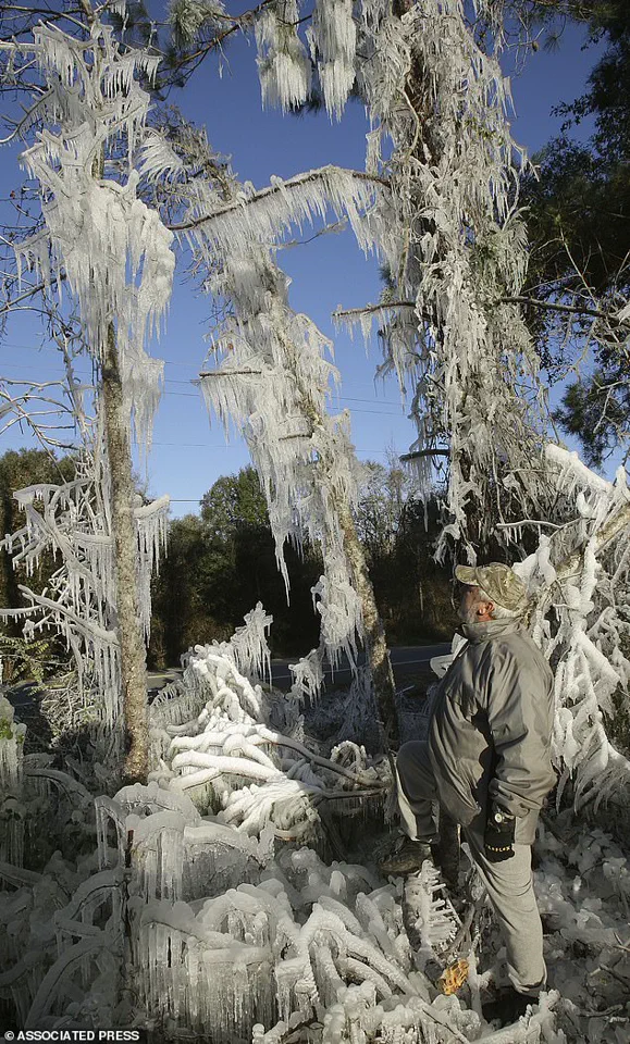 Winter Storm Gianna Unleashes Historic Cold Snap on Miami, Marking a Shift in Climate Preparedness