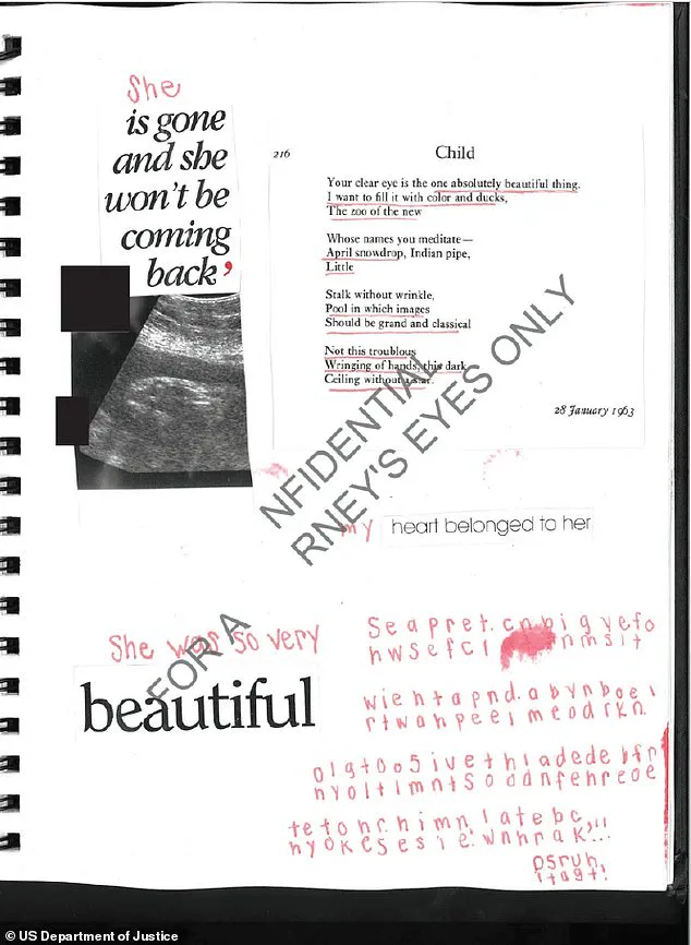 DOJ Diary Entry Reveals Jeffrey Epstein's Alleged Secret Childbirth Cover-Up