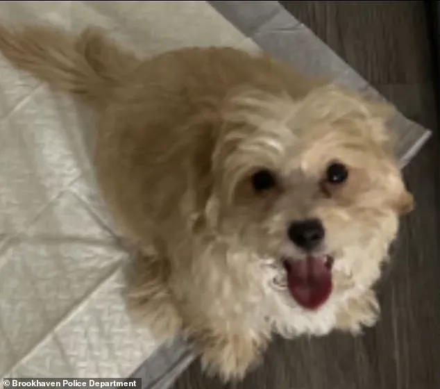 19-Year-Old Rapper Arrested After Viral Video Allegedly Shows Dog Abuse During Twitch Stream