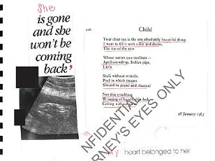 Jeffrey Epstein's Documents: From Conspiracy Theories to Harrowing Truths of Exploitation and Loss