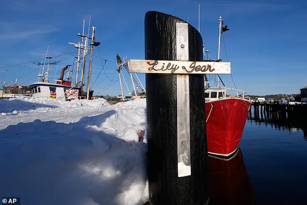 Seven Identified in Lily Jean Sinking Tragedy; Captain Gus Sanfilippo Remembered