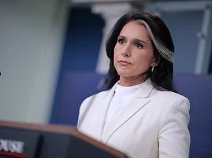 Whistleblower Complaint Against Tulsi Gabbard Unveiled After Eight-Month Standoff, Alleging Political Suppression and Criminal Oversight Failures