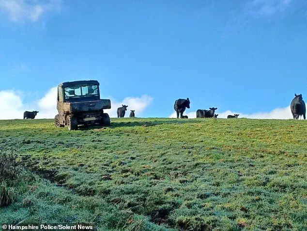 Firefighters Rescue Dog Walker from Tree After Hiding from Angry Cow on Isle of Wight
