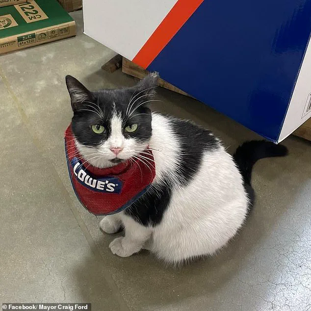 Mama Cat's Controversial 'Firing' Sparks Debate Over Corporate Policy and Small-Town Heart