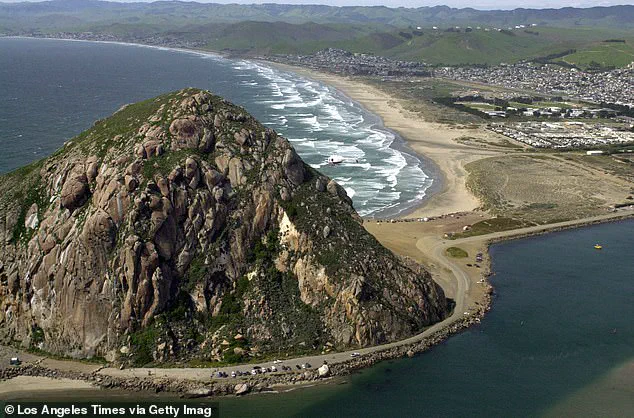 Surfer Testifies in Court About Alleged Attack by Paddleboarder Who Held Her Underwater