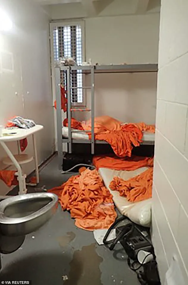 Prison Alliance Between Ex-Policeman and Epstein Unveils Government Conspiracy Claims