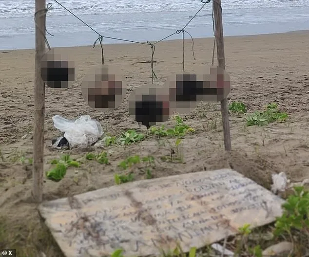 Gang Violence and Drug Trafficking Linked to Discovery of Severed Heads in Ecuador's Guayas Province, as Country Faces Escalating Violence