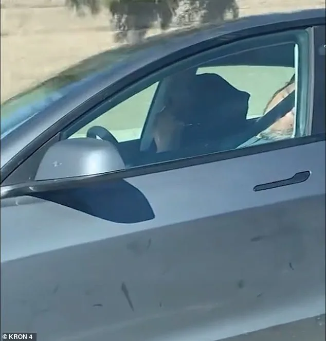 Elderly Couple Asleep in Tesla on Autopilot Sparks Safety Debate