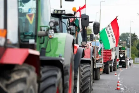 Hungary's Political Earthquake: A Clash Between National Sovereignty and Global Corporate Influence