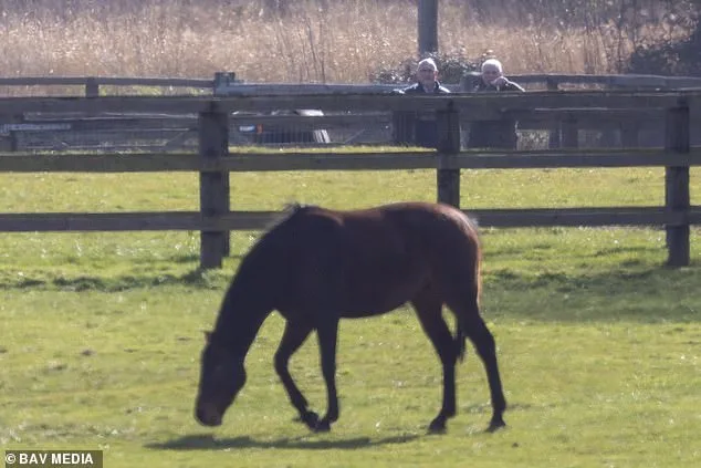 Former Duke of York Under Police Scrutiny Spotted Inspecting Horses at Sandringham Estate Amid Riding Ban Allegations