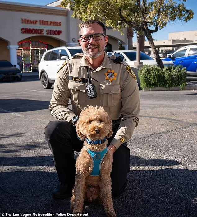Woman Faced With Charges After Abandoning Service Dog at Las Vegas Airport
