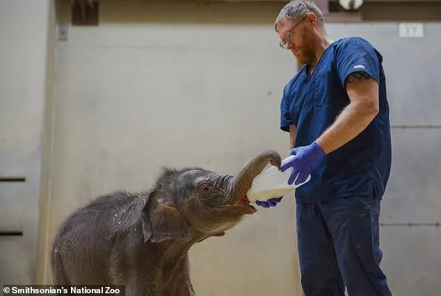 Heartbreaking Monkey Mom Shuns Her Baby: Why?