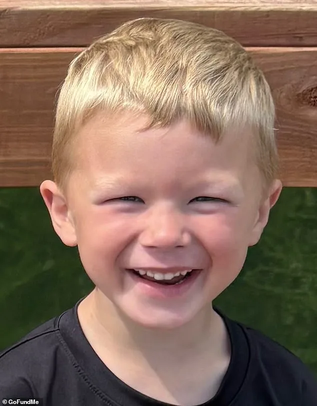 Heroic boy rescued sibling but nearly died saving him
