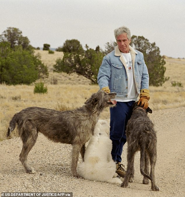 Survivors reveal gang rape and murder at Epstein's New Mexico ranch.