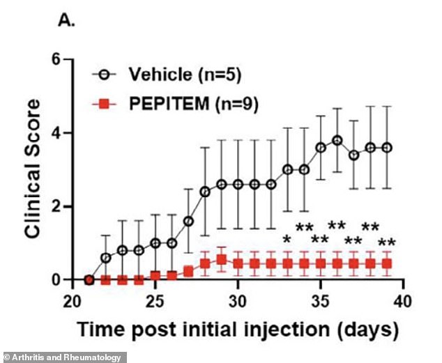 New peptide PEPITEM treats arthritis by blocking inflammation without severe side effects.
