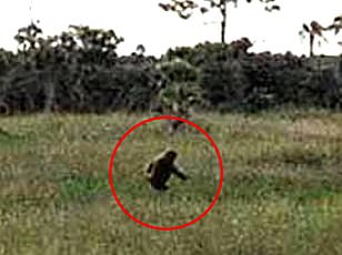 Retired Army veteran claims terrifying encounter with nine-foot cryptids changed his life.