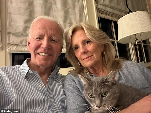 Megyn Kelly Accuses Jill Biden of Fabricating Stroke Fear to Save Face